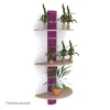 Meilleure affaire 🔥 Colonne Murale + 3 Tablettes 800 Mm – Violet + Beige ✔️ 8