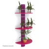 Sortie 💯 Colonne Murale + 3 Tablettes 800 Mm – Violet + Rose 😉 8